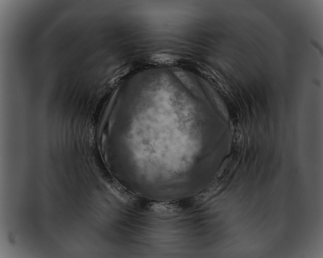 X0000093100568200710171203