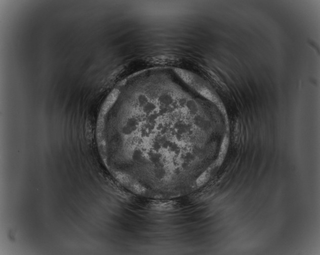 X0000093100569200710171203