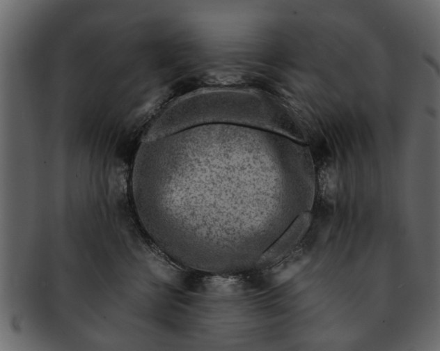 X0000093100570200710171203