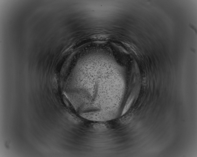 X0000093100572200710171203
