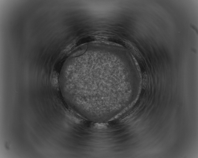 X0000093100573200710171203