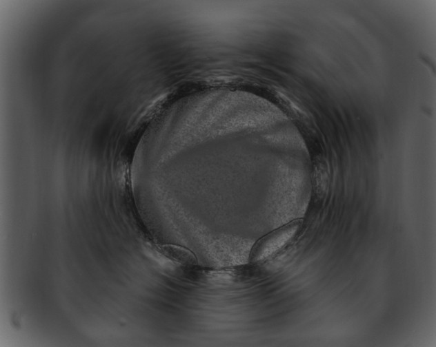X0000093100574200710171203
