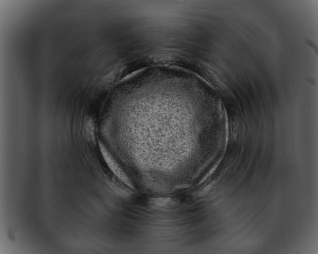 X0000093100575200710171203