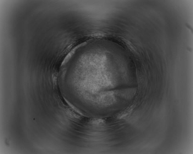 X0000093100576200710171203