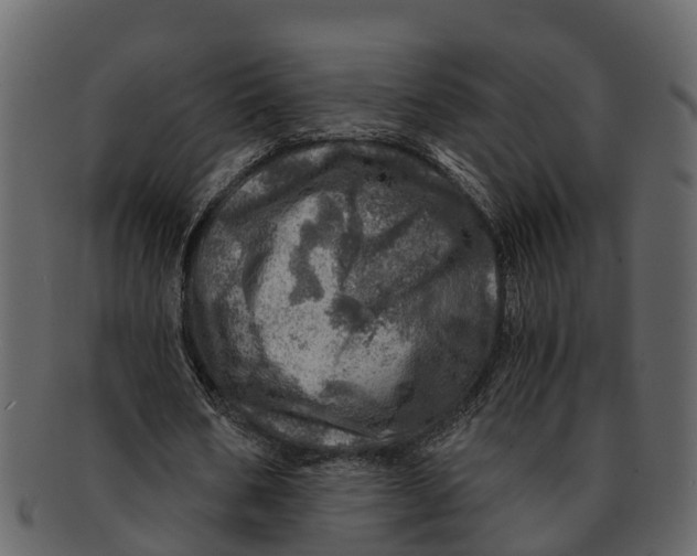 X0000093100578200710171202