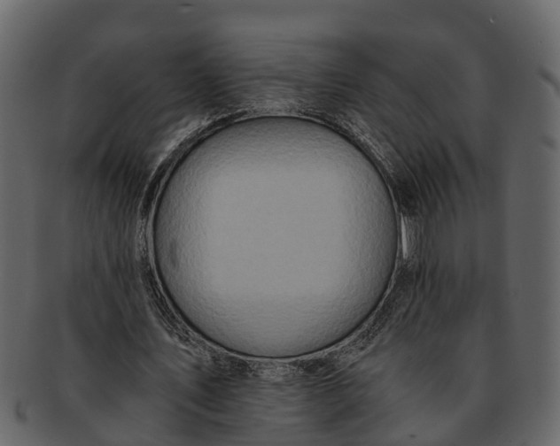 X0000093100579200710171202