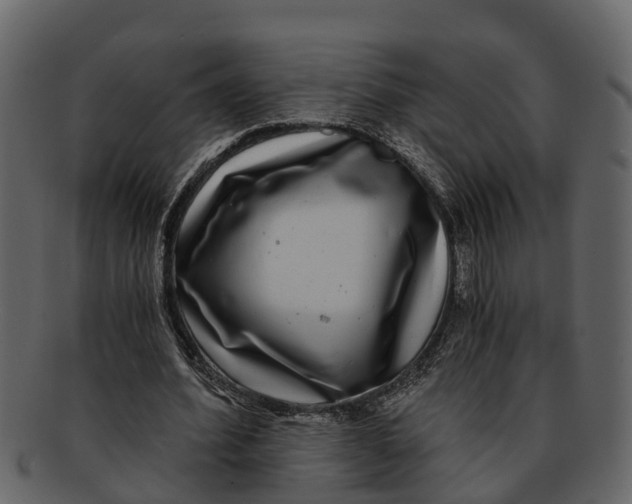 X0000093100580200710171202