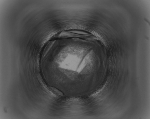 X0000093100581200710171202