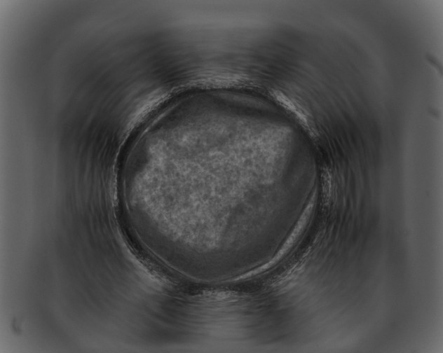 X0000093100582200710171202