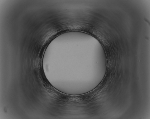 X0000093100583200710171202