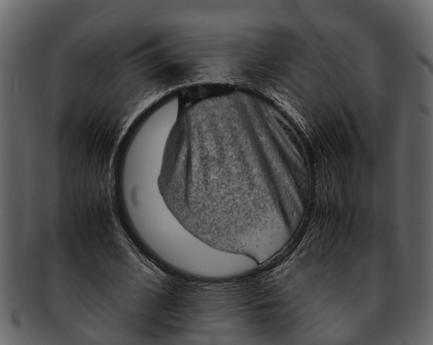 X0000093100584200710171202