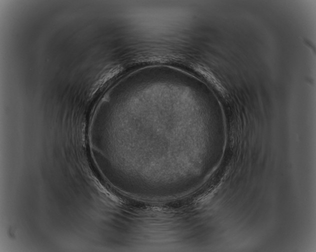 X0000093100585200710171202