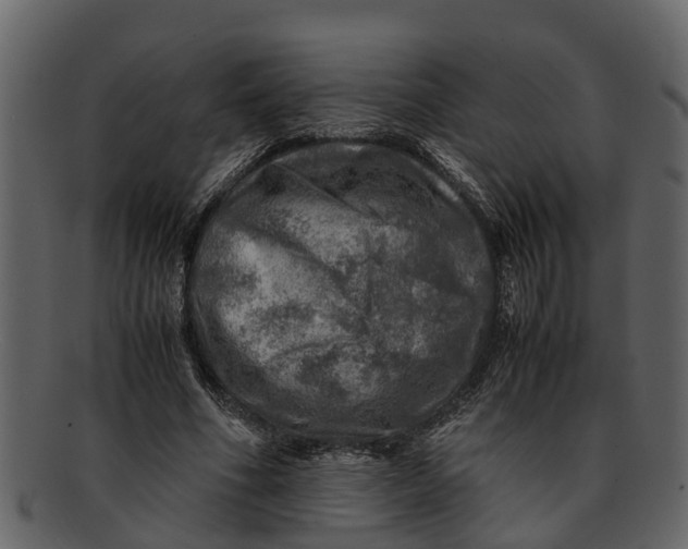 X0000093100586200710171202