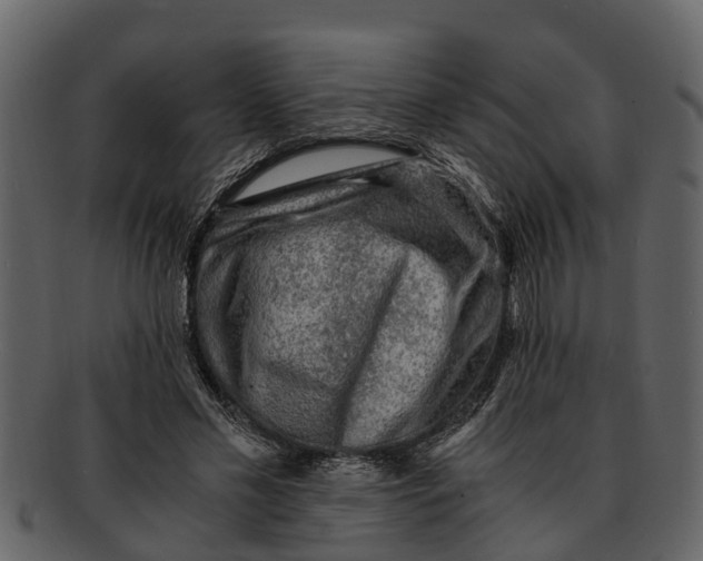 X0000093100589200710171202