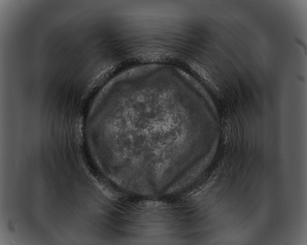 X0000093100590200710171202