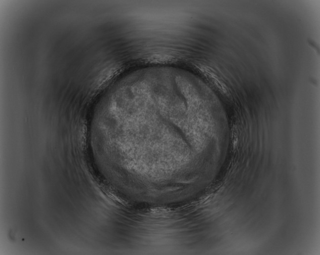 X0000093100591200710171202