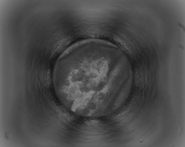 X0000093100594200710171202