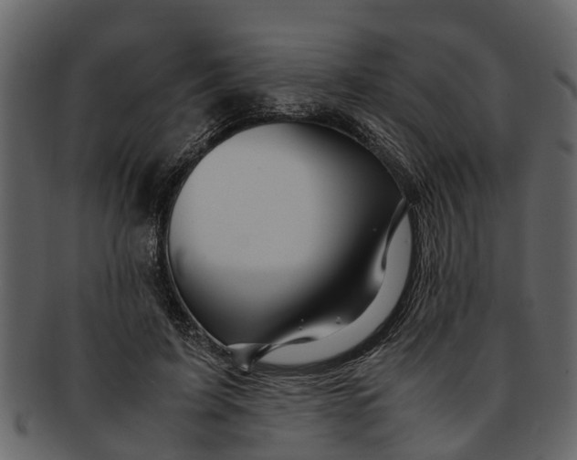 X0000093100595200710171202