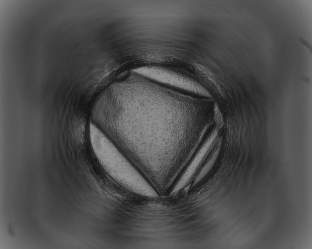 X0000093100596200710171202