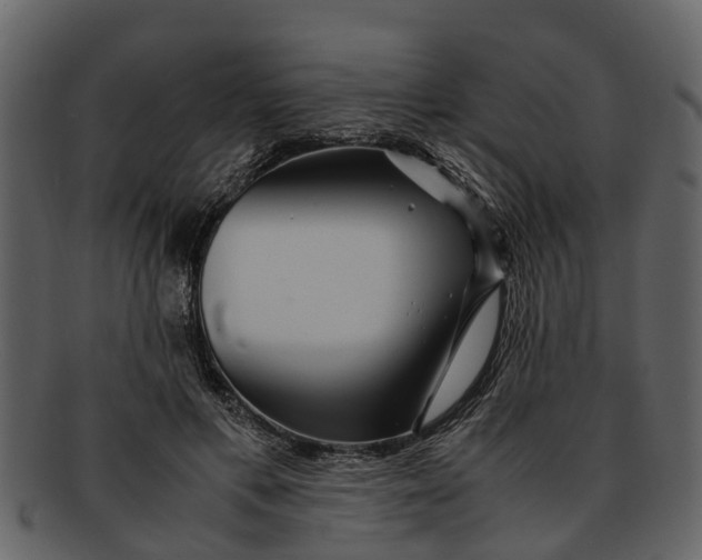 X0000093100597200710171202