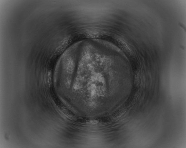 X0000093100598200710171202