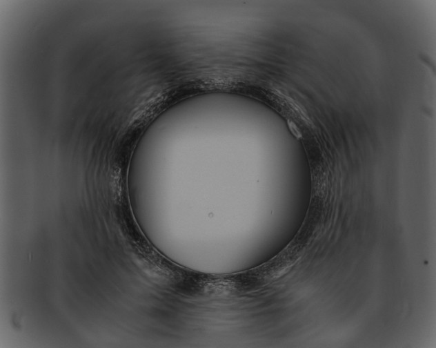 X0000093100599200710171202