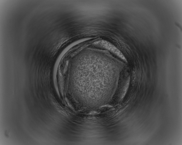 X0000093100600200710171202