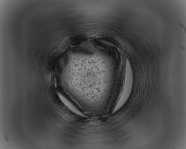 X0000093100601200710171202