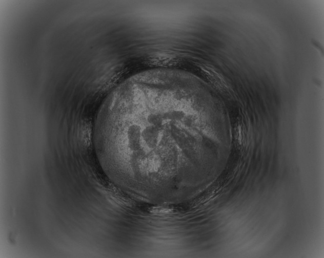 X0000093100602200710171202