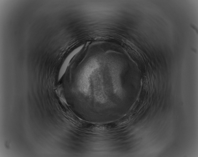 X0000093100604200710171202