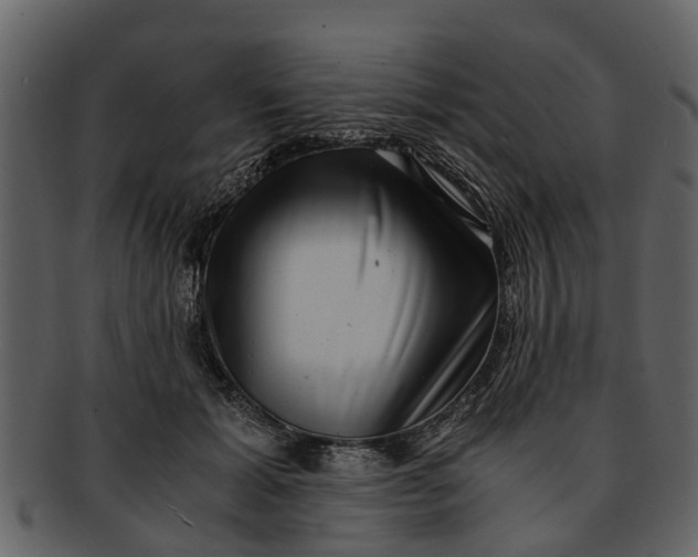 X0000093100605200710171202
