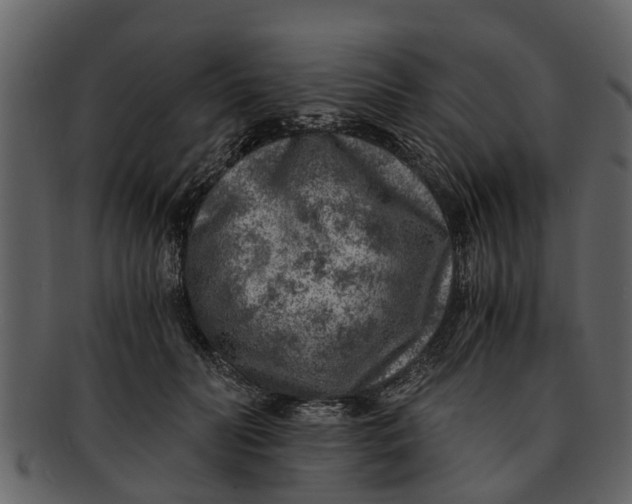 X0000093100606200710171202
