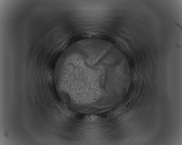 X0000093100607200710171202