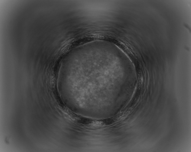 X0000093100609200710171202