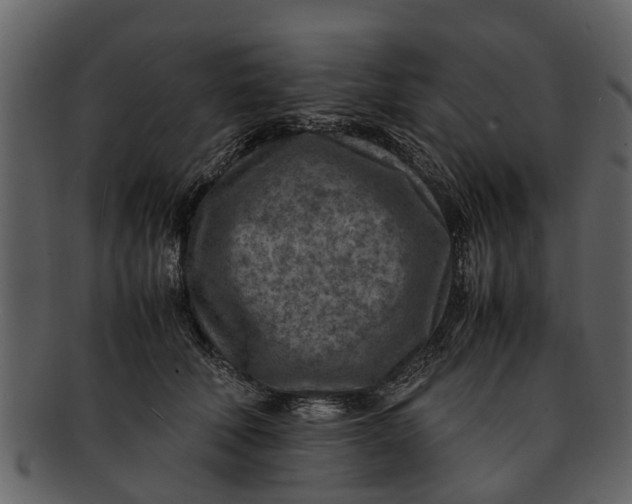 X0000093100610200710171202