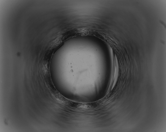 X0000093100611200710171202