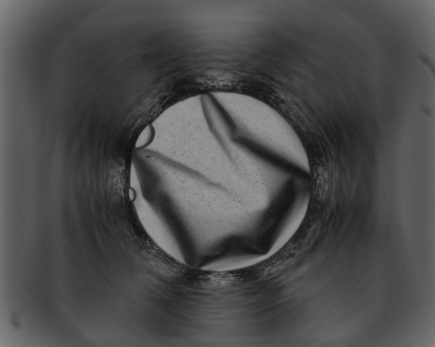 X0000093100612200710171202