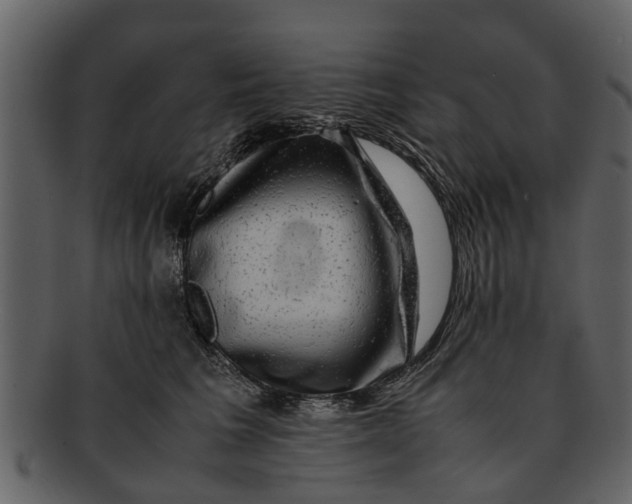 X0000093100613200710171202