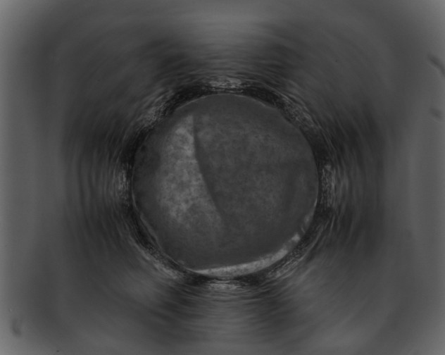 X0000093100614200710171202