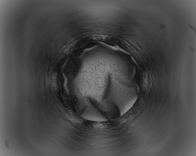 X0000093100616200710171202