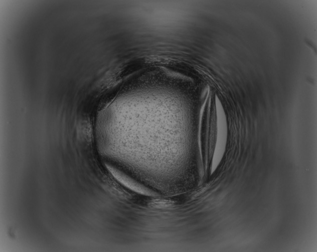 X0000093100617200710171202