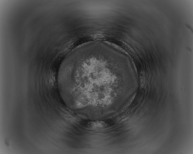 X0000093100618200710171202