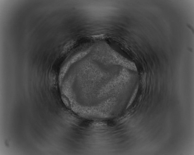 X0000093100619200710171202