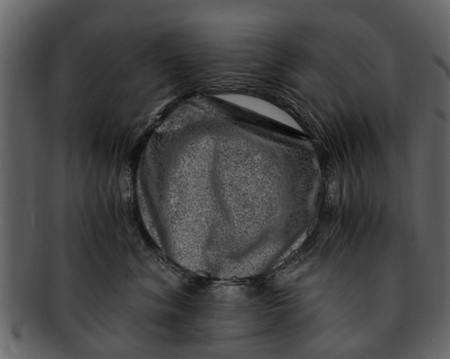 X0000093100620200710171202