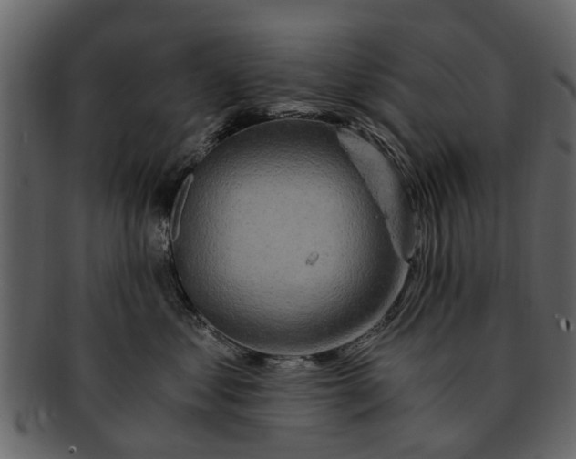 X0000093100621200710171202