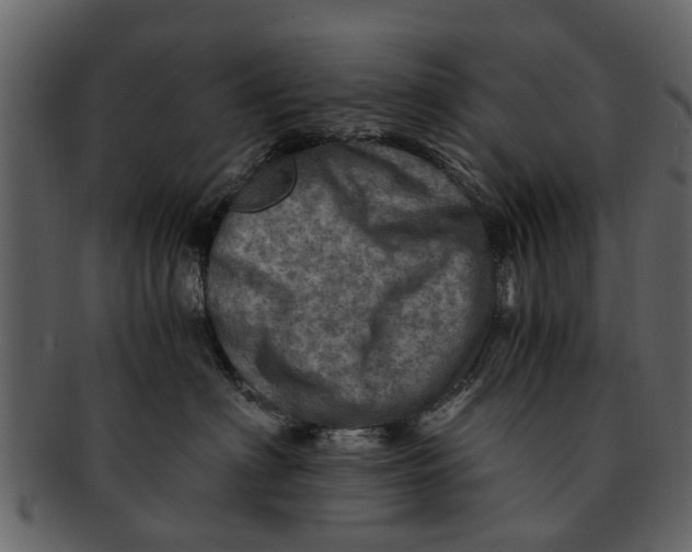 X0000093100622200710171202