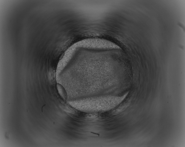 X0000093100624200710171202