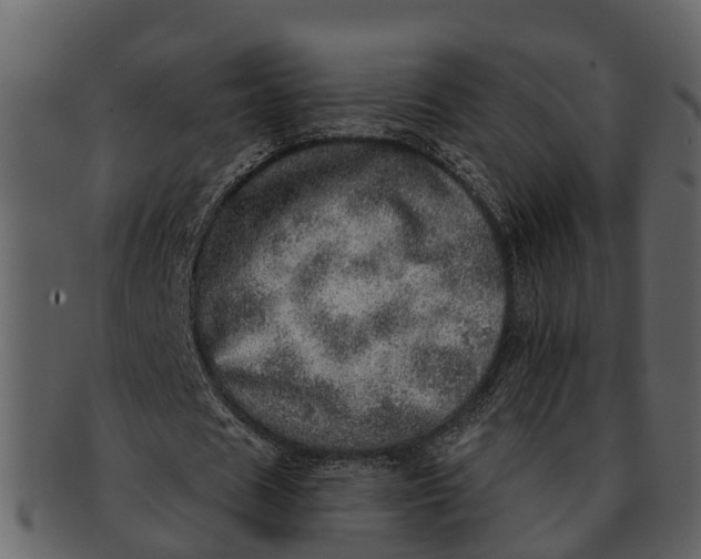 X0000093100625200710171201