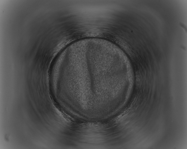 X0000093100626200710171201