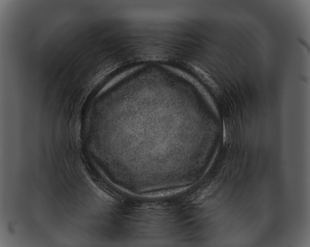 X0000093100627200710171201